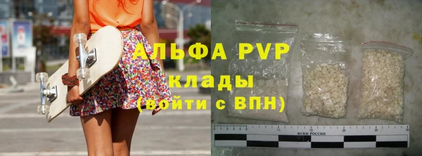 молекула духа Богданович
