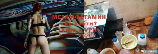 прущие грибы Бронницы