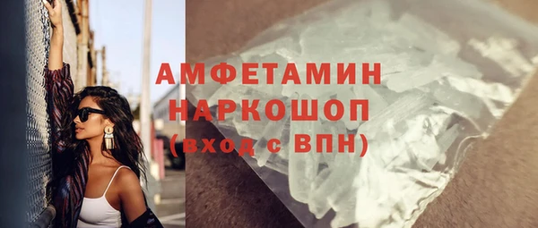 молекула духа Богданович