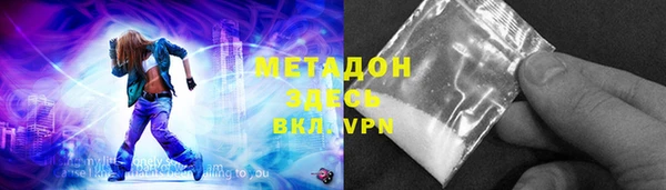 прущие грибы Бронницы