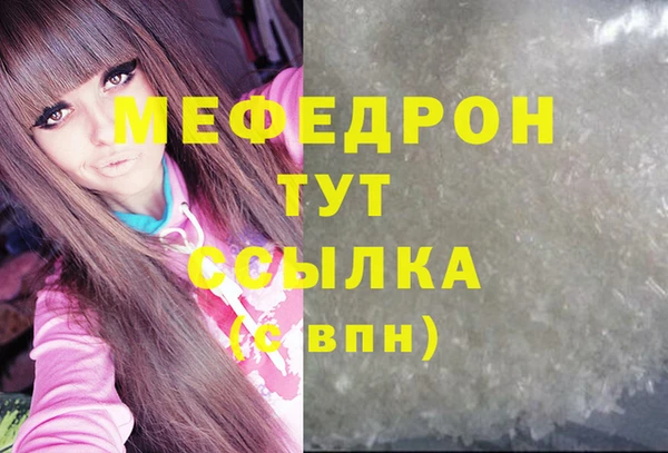молекула духа Богданович