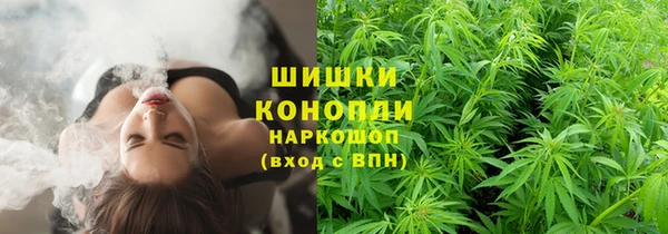 спайс Богородицк