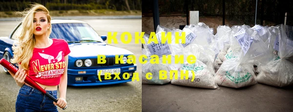 прущие грибы Бронницы