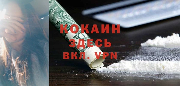 молекула духа Богданович