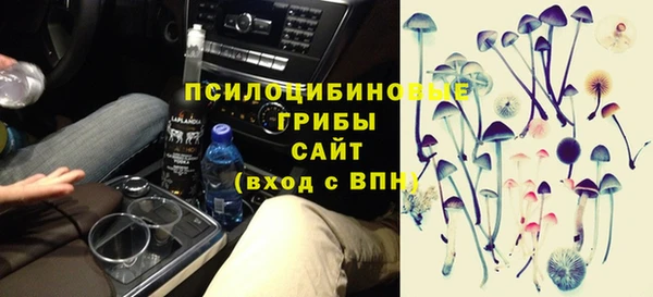 спайс Богородицк