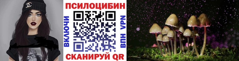 Псилоцибиновые грибы MAGIC MUSHROOMS даркнет сайт Орехово-Зуево